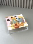 Oasis Box 20x20x5 cm